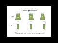 bacteria gene expression