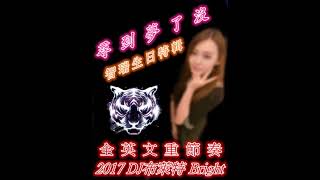 尋到夢了沒《2017 DJ布萊特 Bright‧智瑞生日特輯》全英文重節奏