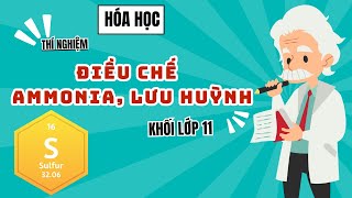 Thí nghiệm minh họa: Điều chế Ammonia, Lưu huỳnh | Hóa học lớp 11