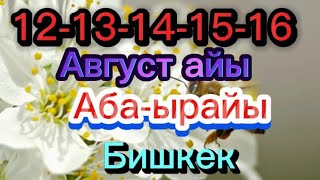 БИШКЕК АБА-ЫРАЙЫ 12-13-14-15-16 Август кунку#бишкек #жанылыктар #кабарлар #погода