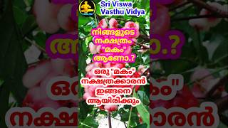 Makam ~ Men || ഒരു മകം നക്ഷത്രക്കാരൻ ഇങ്ങനെ ആയിരിക്കും || Sri Viswa Vasthu Vidya#makam  #astrology