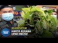 SELUDUP KETUM | Jadi Tali Barut Penyeludup Demi RM200