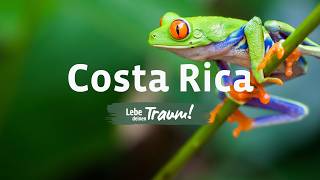 MIT WORLD INSIGHT NACH // COSTA RICA