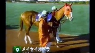 第16回　フェブラリーＳ （ＧⅠ）パドック　1999.1.31　　出走馬：メイセイオペラ、エムアイブラン、タイキシャーロック、オースミジェット、キョウエイマーチ、ワシントンカラー、マチカネワラウカド他