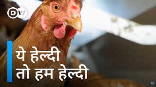 कहीं अगली महामारी ना बन जाए एंटीबायोटिक प्रतिरोध [Increasing food production sustainably]