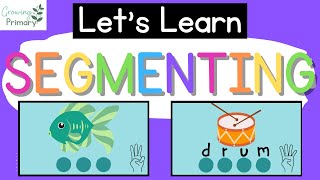 Let's Learn SEGMENTING WORDS {Phonemic Awareness}