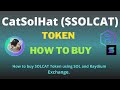 How to Buy CatSolHat (SOLCAT) Token Using Raydium Exchange