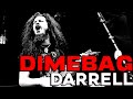 Far Beyond Driven: The Dimebag Darrell Abbott Case