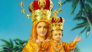 தாயே என் தனி அழகே! / வேளாங்கண்ணி #velankannimathasongs #ourladyofvelankanni #velankannimadha