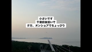 Hosoii波予測7/7