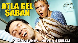 Atla Gel Şaban Türk Filmi | FULL HD | Restorasyonlu Kemal Sunal Filmleri