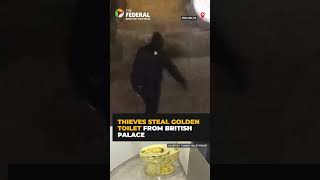 Surveillance video shows thieves stealing #goldentoilet from #Britishpalace