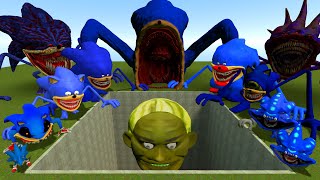 All Shin Sonic Tapes Family VS The Giant Pit With Lin Gang Melon! - Garry's Mod
