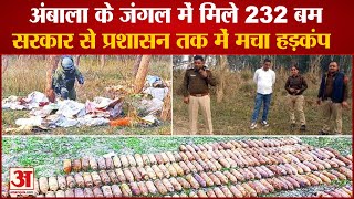 232 Old Bomb Shells Found In Ambala Forest|अंबाला के जंगल में मिले 232 बम, मचा हड़कंप|Begana Canal