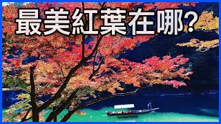 日本紅葉最美在哪？日本人吃楓葉？日本賞楓的起源？2020最強攻略 | Where is the most beautiful Japanese red leaves?