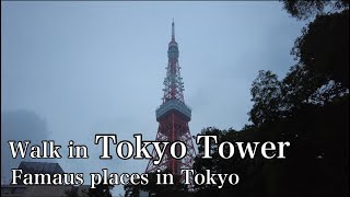 【4K】東京タワー観光をしながら散歩 Walking Tokyo Tower, a tourist attraction in Tokyo【DJI Pocket 2】