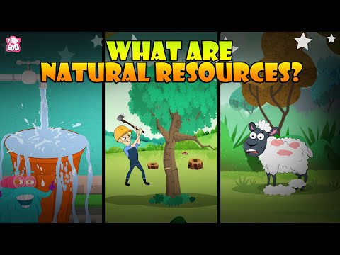What are the most important resource of our globe?