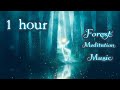 1 Hour Forest Meditation Music - Relaxation - Study - Sleep - Relax - Focus