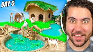 Rescuing Puppies & Building Them A House!