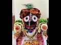 ମୁଁ ଜଗନ୍ନାଥ ମୁଁ ଜଗତର ନାଥ💐🌹 odia natok bhajan jai jagannath🙏🙏 subscriber please ⭕‼️⭕🪈🐚🐚