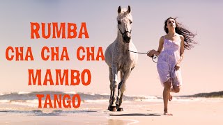 Spanish Guitar: RUMBA | CHA CHA CHA | TANGO | MAMBO -  Best of Instrumental Relaxing Guitar Music