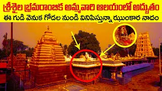 శ్రీశైల భ్రమరాంబిక అమ్మవారి ఆలయంలో అద్బుతం | Shocking History Behind Srisailam | Adhbutha Samacharam