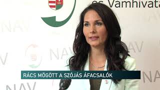 Rács mögött a szójás áfacsalók - Híradó - 2020.05.28.