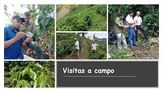 Prácticas agroecológicas en sistemas de producción de café