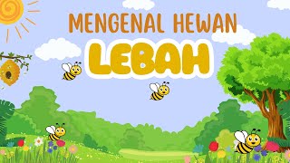 Mengenal Hewan Lebah, Belajar Hewan Lebah | Kids Learning Videos | Toddler Learning Videos