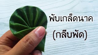 พับเกล็ดนาค พับกลีบกระทงใบตอง วิธีทำกลีบพัดสำหรับติดบายศรีพญานาค