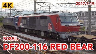 RED BEAR 川重入場 5085レ EF210-104+DF200-116+コキ【4K】