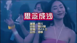 菲儿《思念成沙》Dj十三版 KTV 导唱字幕 （备有伴奏视频）