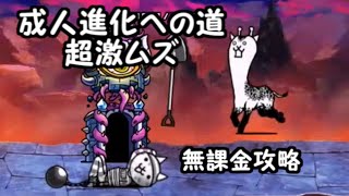 開眼のにゃんこ成人襲来！　成人進化への道　超激ムズ　無課金攻略　にゃんこ大戦争