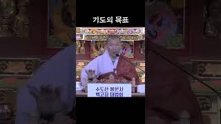 [#주경스님] 기도 왜 하세요❓ 바라는 게 없으면 기도 해봤자...  #Shorts #youtubeshorts