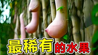 世界上“最稀有”的10種水果，第一名讓男人愛不釋手，女人直接臉紅，價格高達5萬元1斤|#地球最TOP #世界之最#出類拔萃#腦洞大開#top10 #國家#看世界TOP#地球最TOP#水果#奇聞