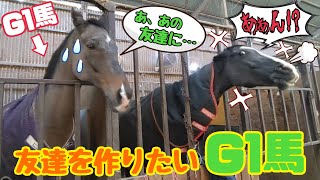 ウマが合わない馬達。【ツルマルボーイ様のシモベ】