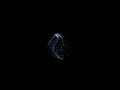 React Three Fiber 3d Particle Animation #threejs [SOURCE CODE]