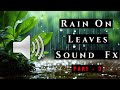 Rain On Leaves Sound Effect Part 3