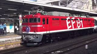 「カシオペア紀行」大宮駅通過 EF81 95