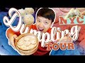 BEST DUMPLINGS in New York! Dumpling Tour of New York City