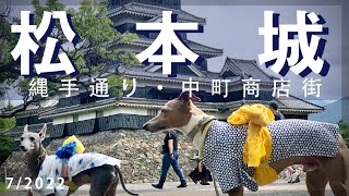 【松本城】繩手道り　中町商店街　犬にも衣装♡