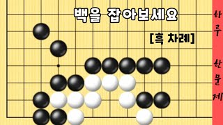 [하루한문제#17] 백을 잡아 보세요