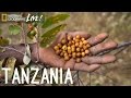 We Are What We Eat: Tanzania | Nat Geo Live