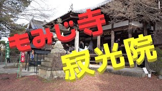 【寂光院】紅葉で有名なお寺を満喫♪スロープカーにも乗ってみた♪