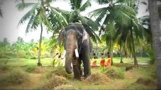 Pampadi Rajan In Album,Pambadi.flv