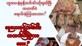 လူသားမုန့်ဟင်းခါး