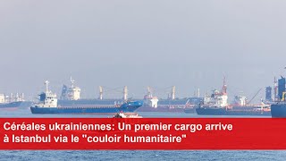 Céréales ukrainiennes: Un premier cargo arrive à Istanbul via le "couloir humanitaire"