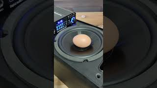 Speaker VS Eggs 💪Extreme Bass Test Subwoofer 4.0🔥💣#woopker #S288 #shorts #dj #bassboosted #amplifier