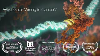 What Goes Wrong in Cancer?