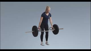 How to: Deadlift Olympic Hex Bar